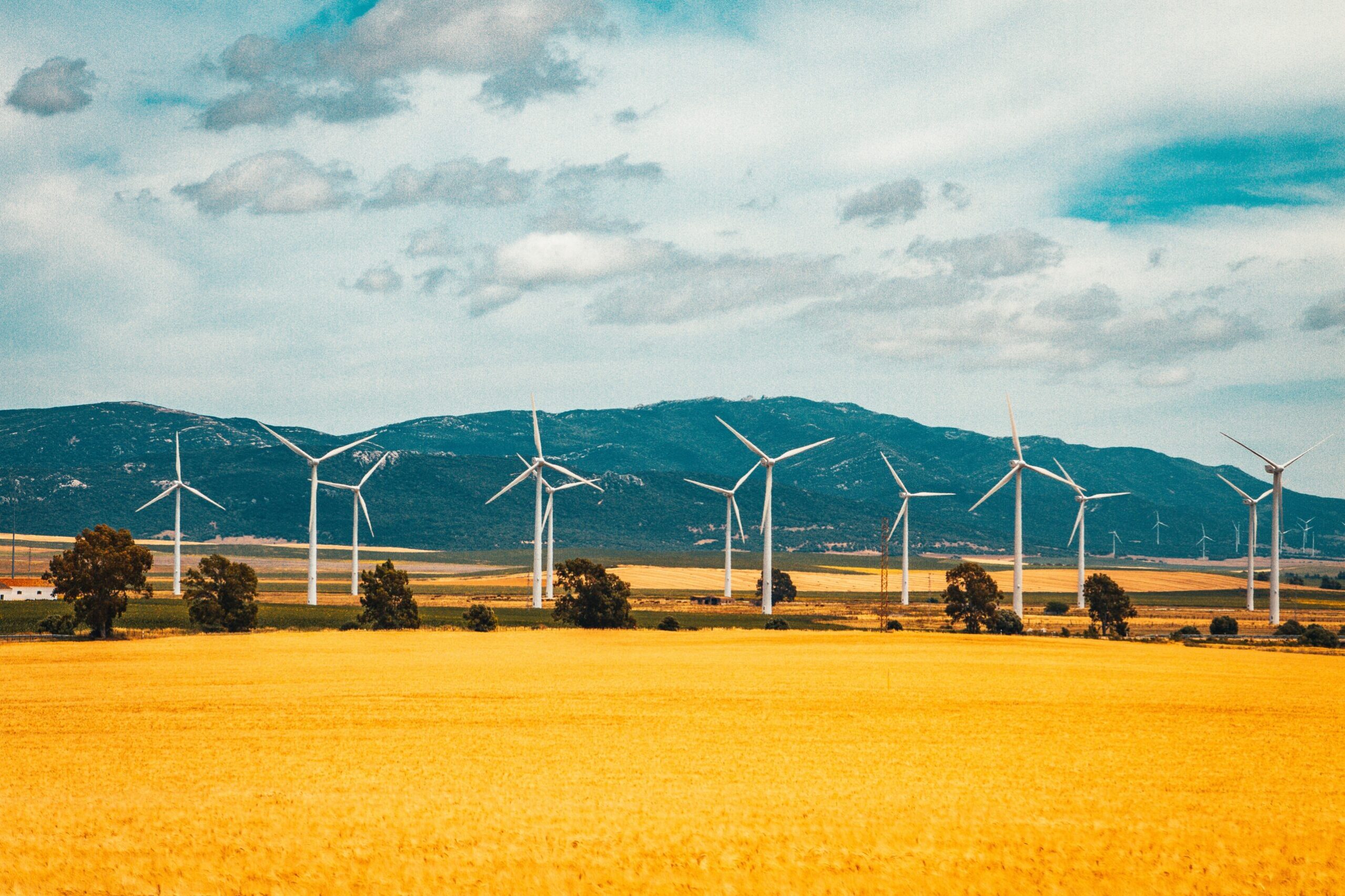 Revolutionizing Asset Heavy Companies: The Power of SAP S/4HANA Asset Management